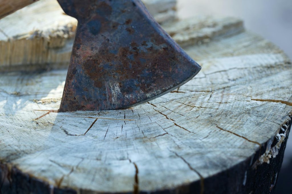 Close-up of a rusty axe head embedded in a tree stump, showcasing its sharp edge and texture.